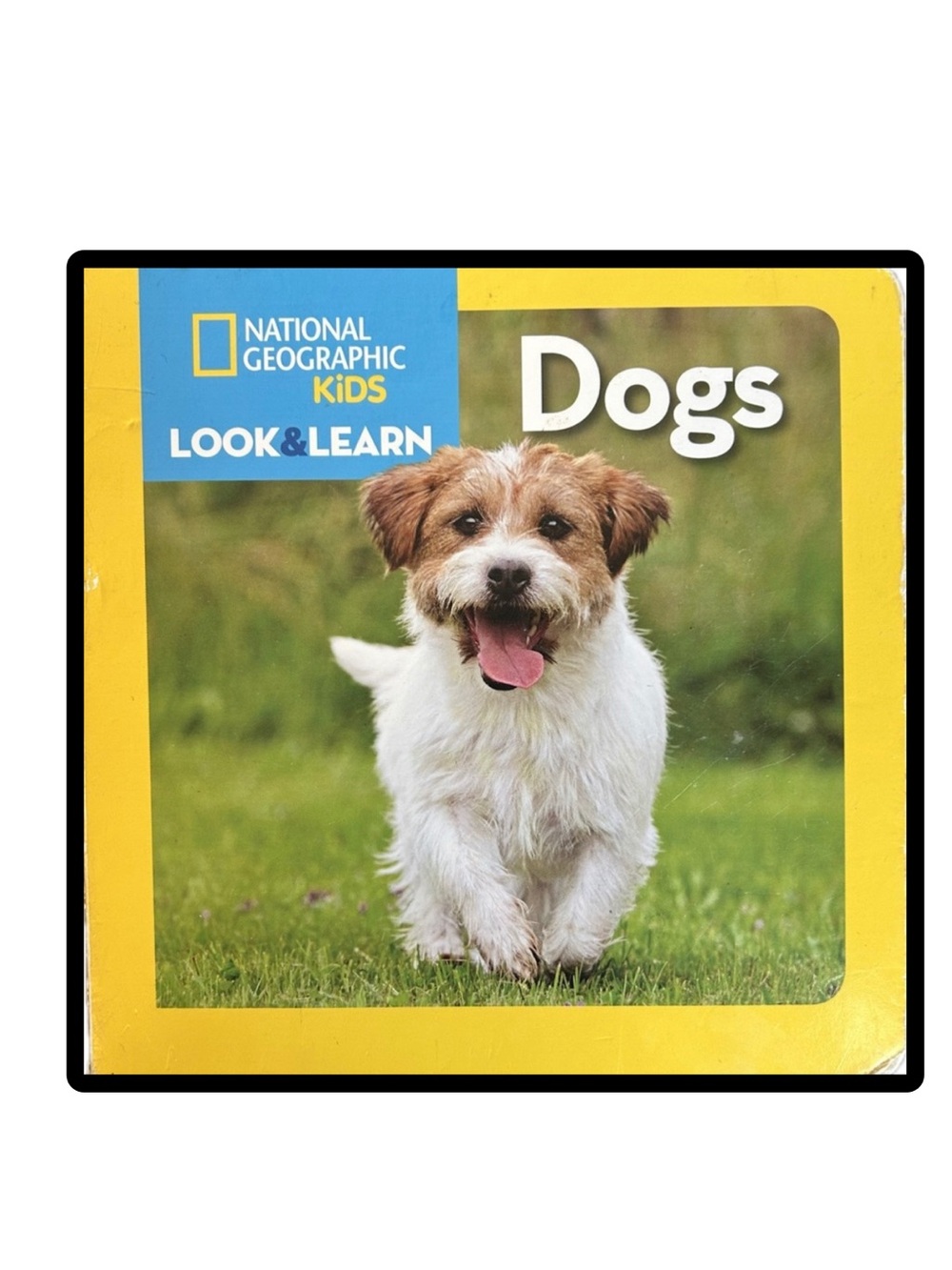 BUNDLE & SAVE 🦴 National Geographic Kids Look & Learn Dogs Board Book